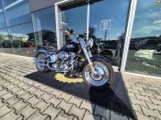 Harley-Davidson FLSTF Fat Boy