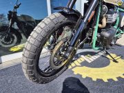 Royal Enfield Interceptor Bear 650 Twin (E5+) TWO FOUR NINE