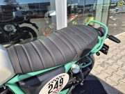 Royal Enfield Interceptor Bear 650 Twin (E5+) TWO FOUR NINE