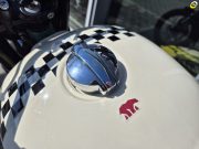 Royal Enfield Interceptor Bear 650 Twin (E5+) TWO FOUR NINE