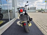 Royal Enfield Interceptor Bear 650 Twin (E5+) BOARDWALK WHITE