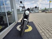 Royal Enfield Interceptor Bear 650 Twin (E5+) BOARDWALK WHITE