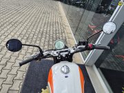 Royal Enfield Interceptor Bear 650 Twin (E5+) BOARDWALK WHITE