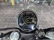 Royal Enfield Interceptor Bear 650 Twin (E5+) BOARDWALK WHITE